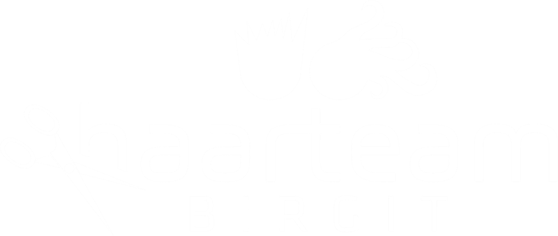 Logo Haarteam Birgit